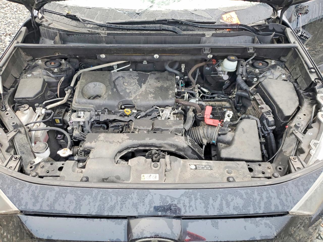 2019 TOYOTA RAV4 LE photo 12