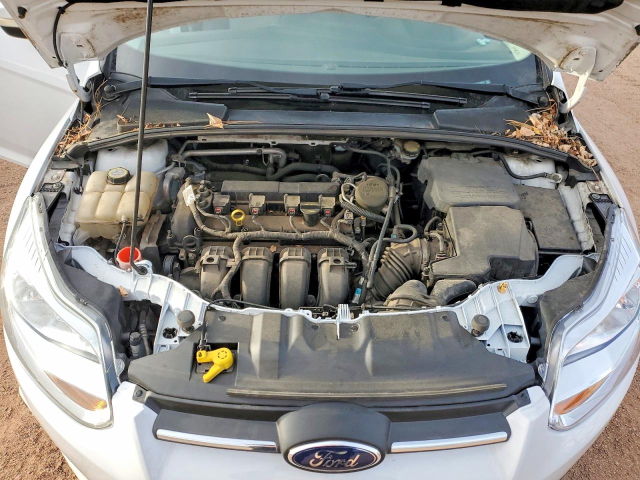 2013 FORD FOCUS SE photo 21