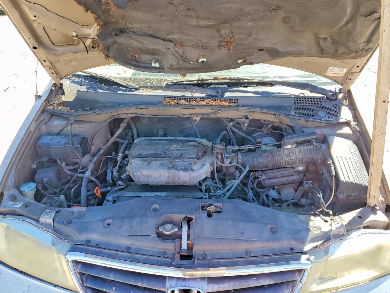2004 HONDA ODYSSEY EX photo 12