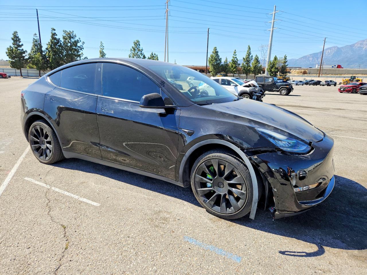 2021 TESLA MODEL Y photo 4