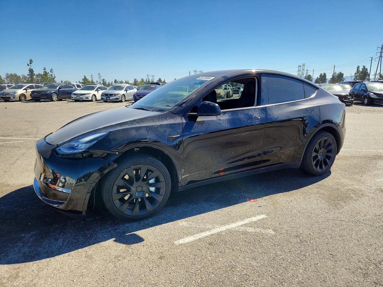 2021 TESLA MODEL Y
