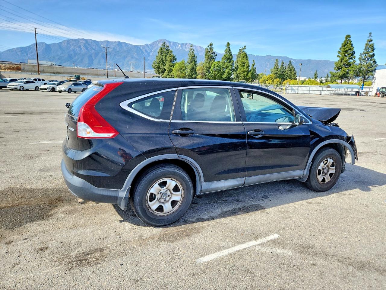 2013 HONDA CR-V LX photo 3
