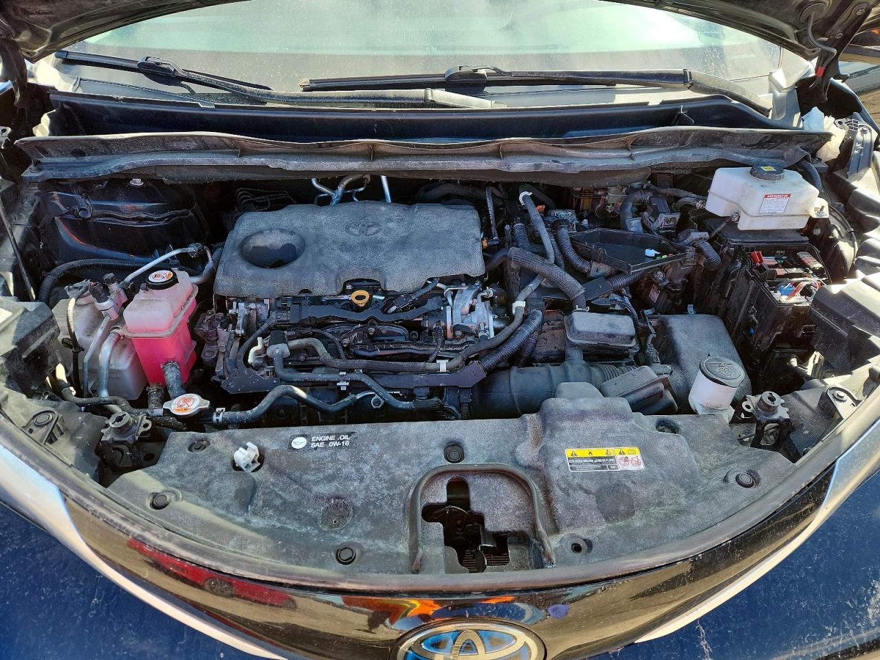 2021 TOYOTA SIENNA LIMITED 7-PASSENGER photo 12