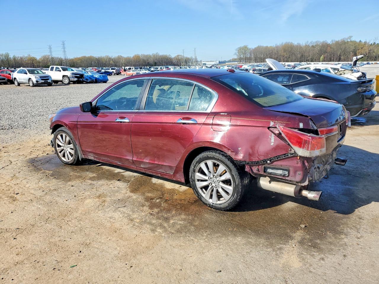 2011 HONDA ACCORD EXL photo 4