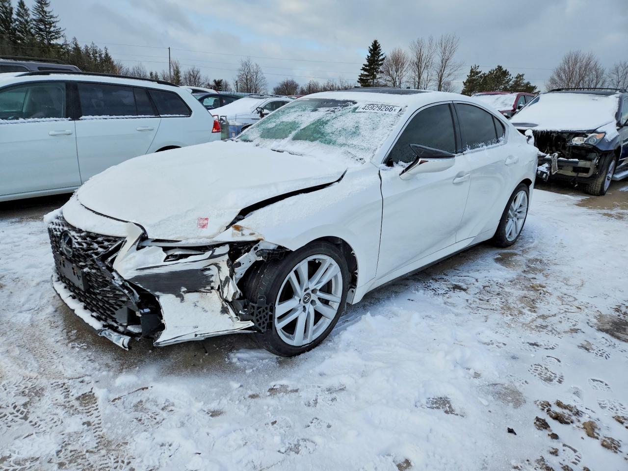 2023 LEXUS IS