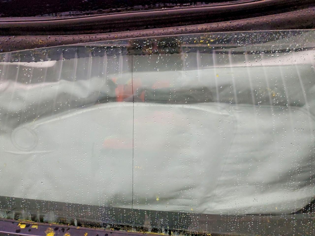 2023 TESLA MODEL 3 photo 10