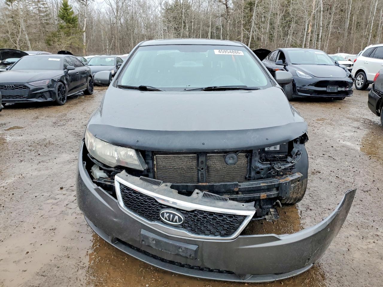 2013 KIA FORTE photo 5