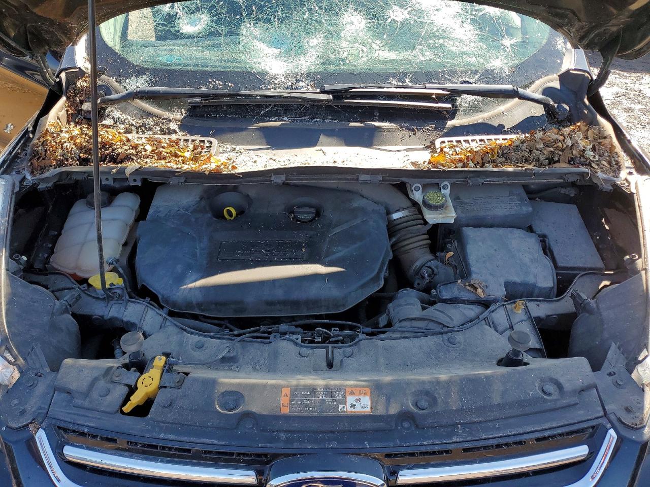 2015 FORD ESCAPE TITANIUM photo 21