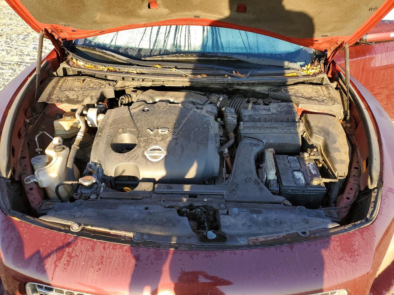 2010 NISSAN MAXIMA 3.5 S photo 11