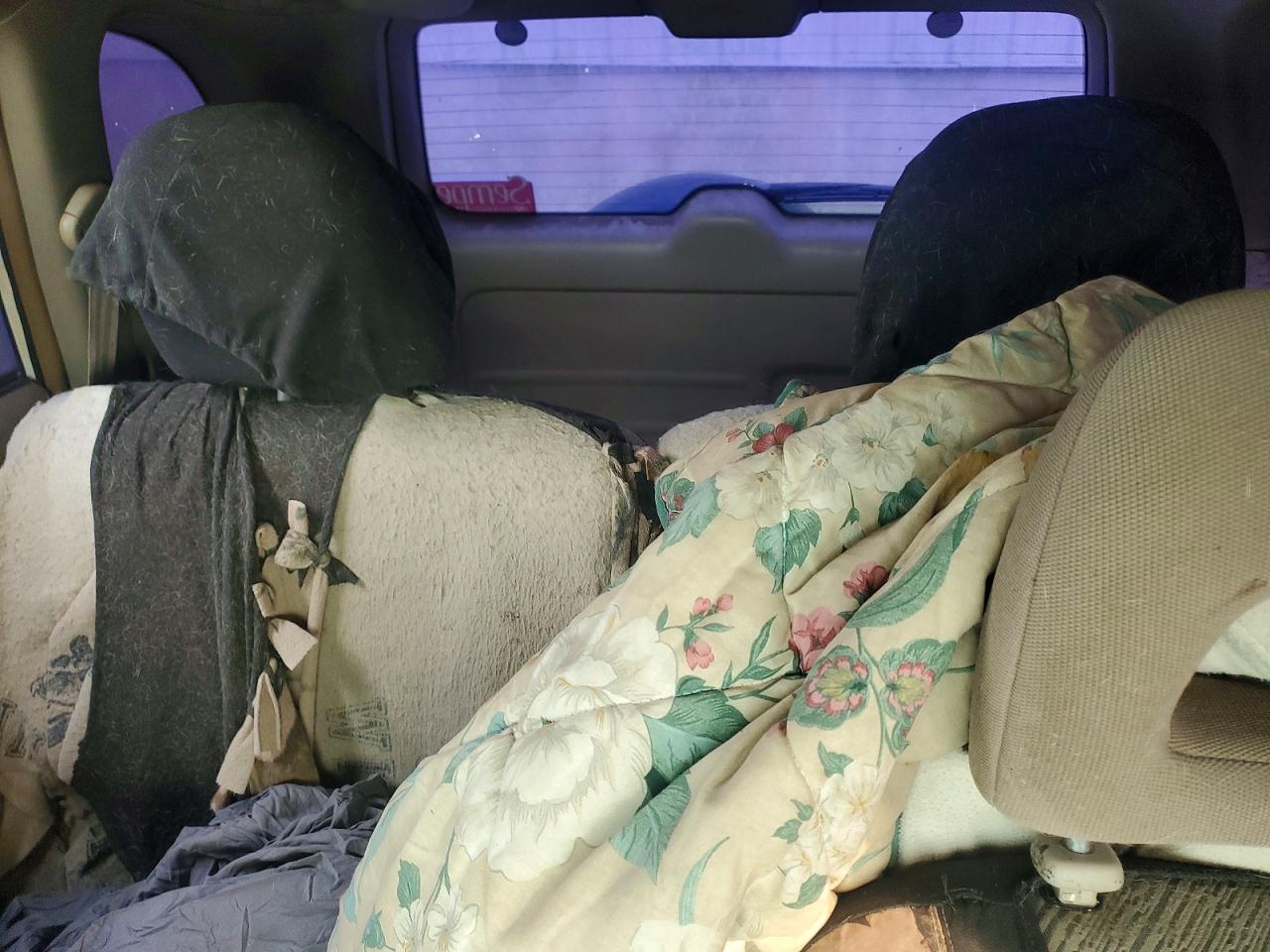 2002 TOYOTA RAV4 BASE photo 19