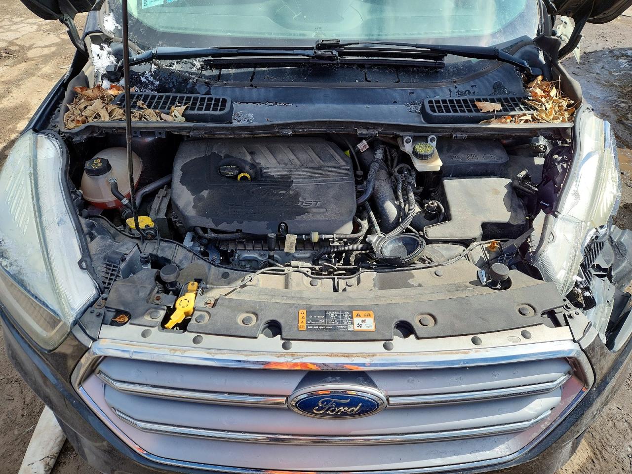2017 FORD ESCAPE SE photo 23