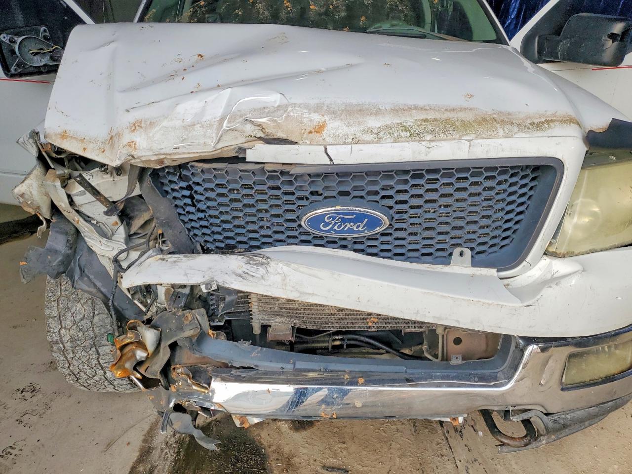 2004 FORD F150 photo 11