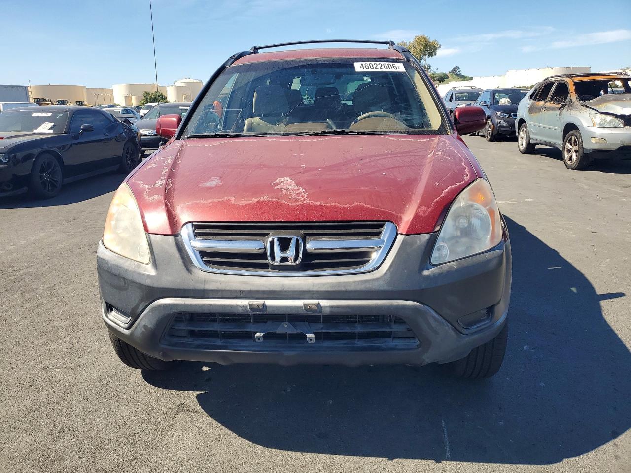 2003 HONDA CR-V EX photo 9