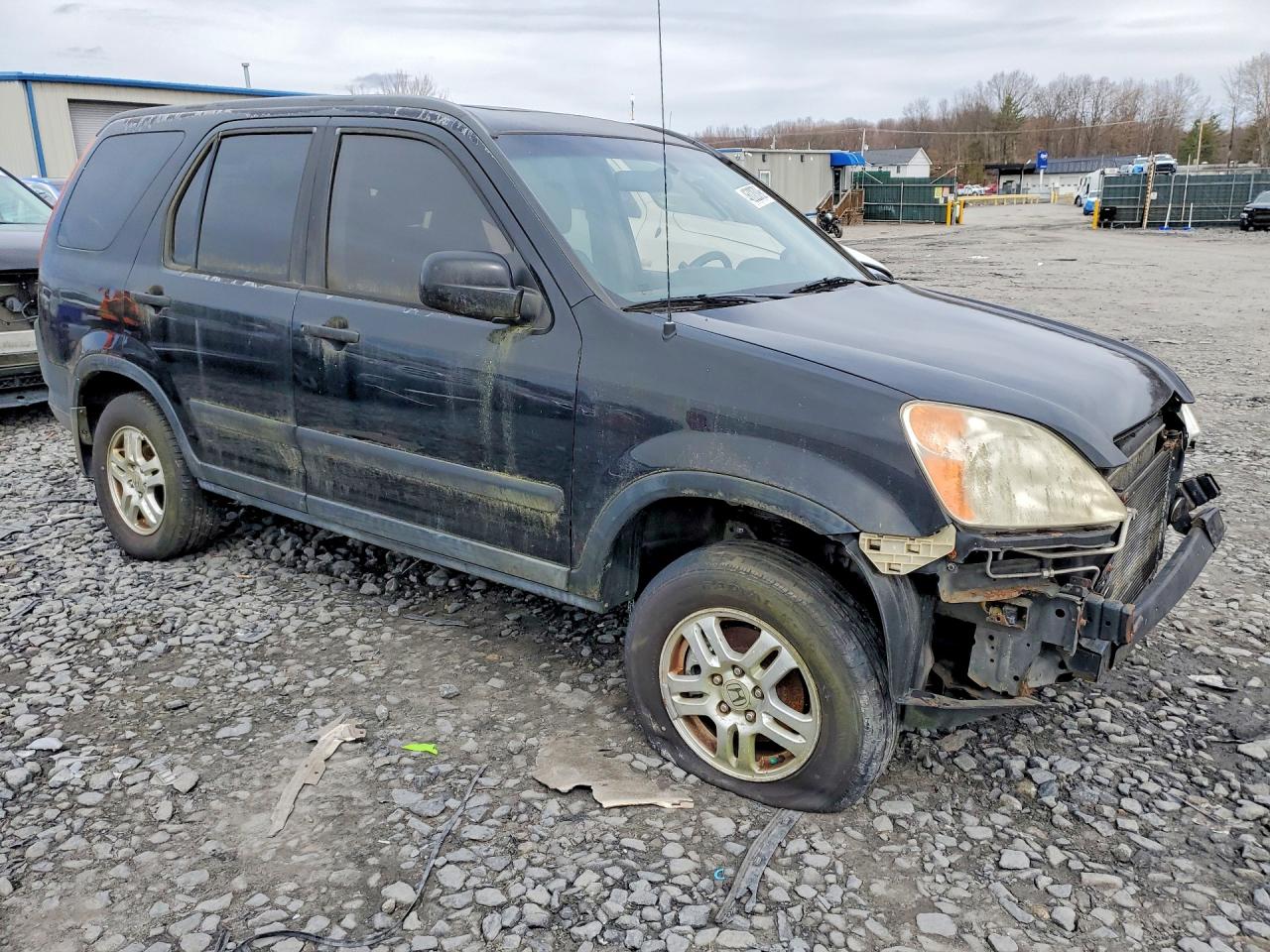 2003 HONDA CR-V EX photo 7