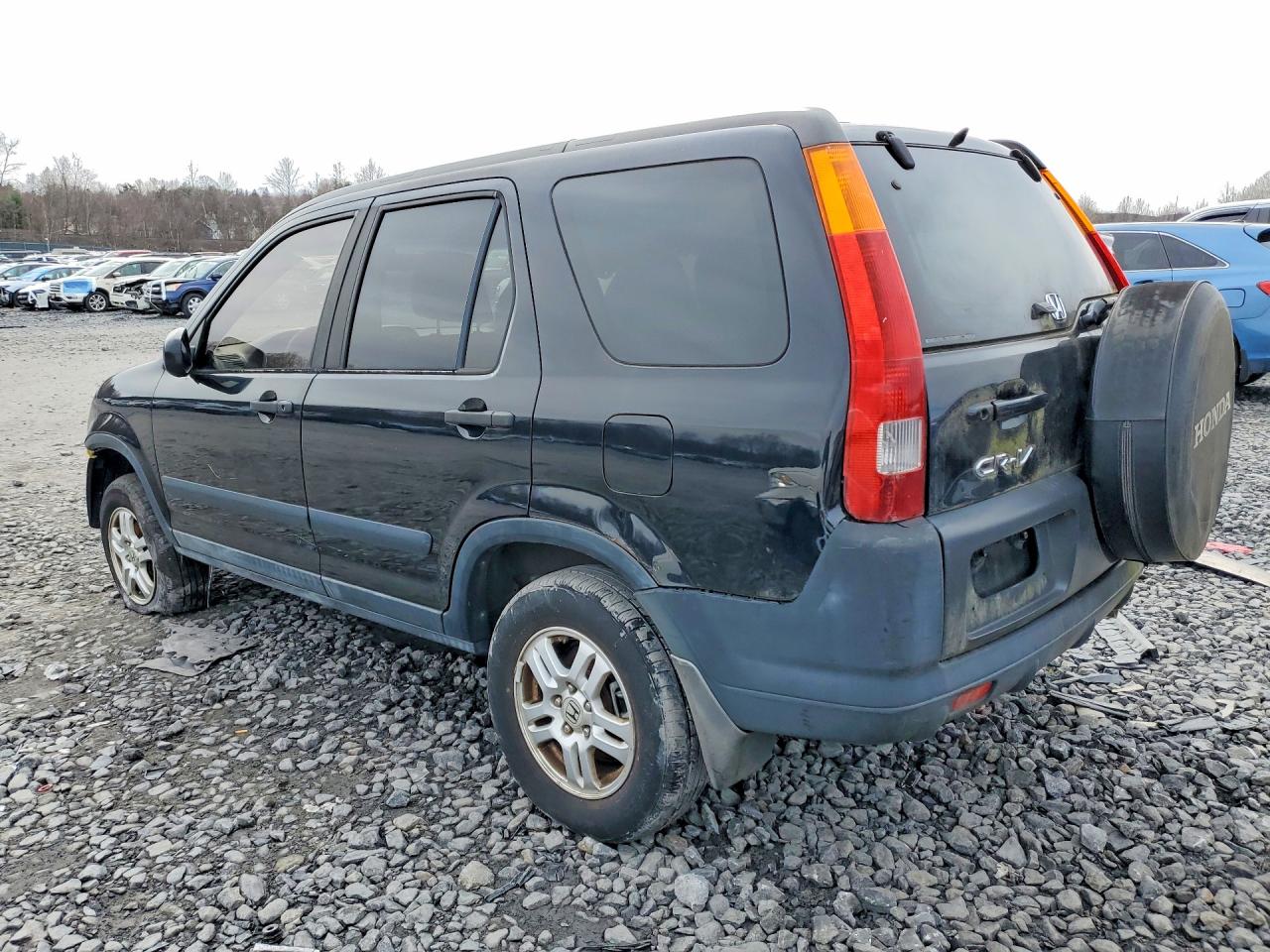 2003 HONDA CR-V EX photo 3