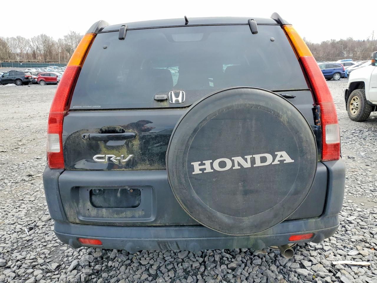2003 HONDA CR-V EX photo 11