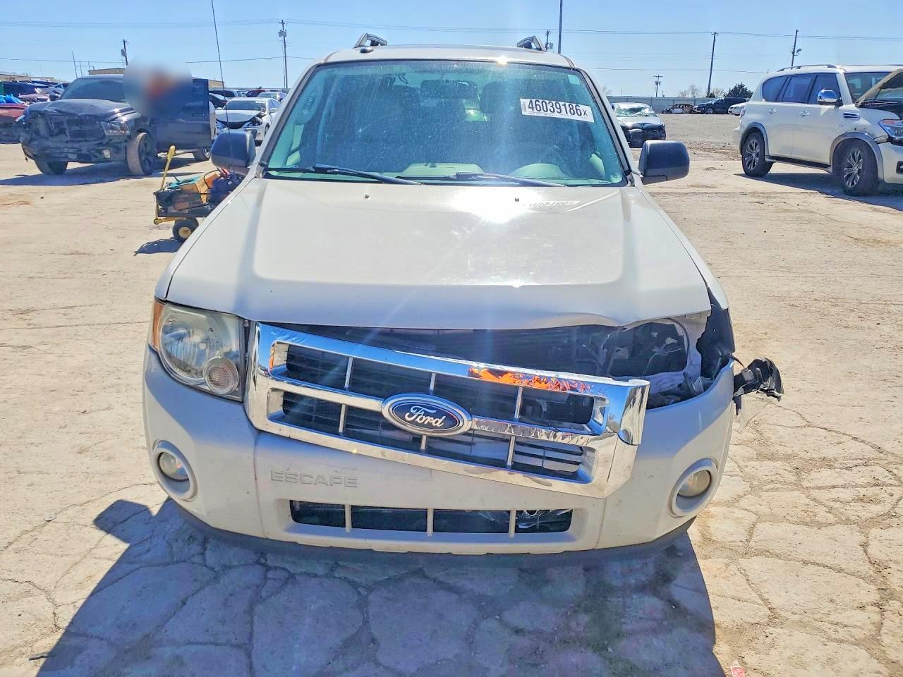 2011 FORD ESCAPE XLT photo 5