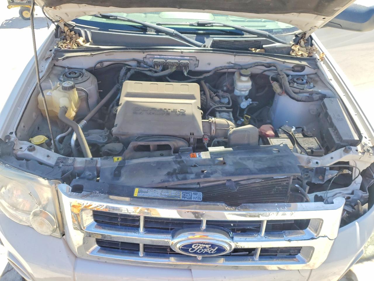 2011 FORD ESCAPE XLT photo 11