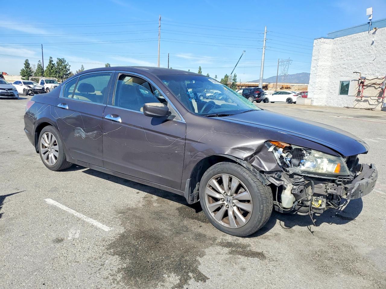 2011 HONDA ACCORD EX photo 7