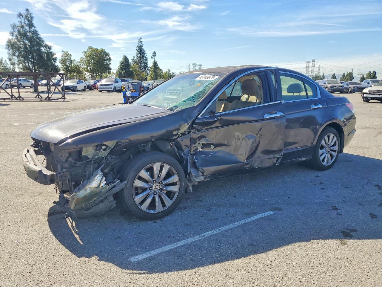 2011 HONDA ACCORD