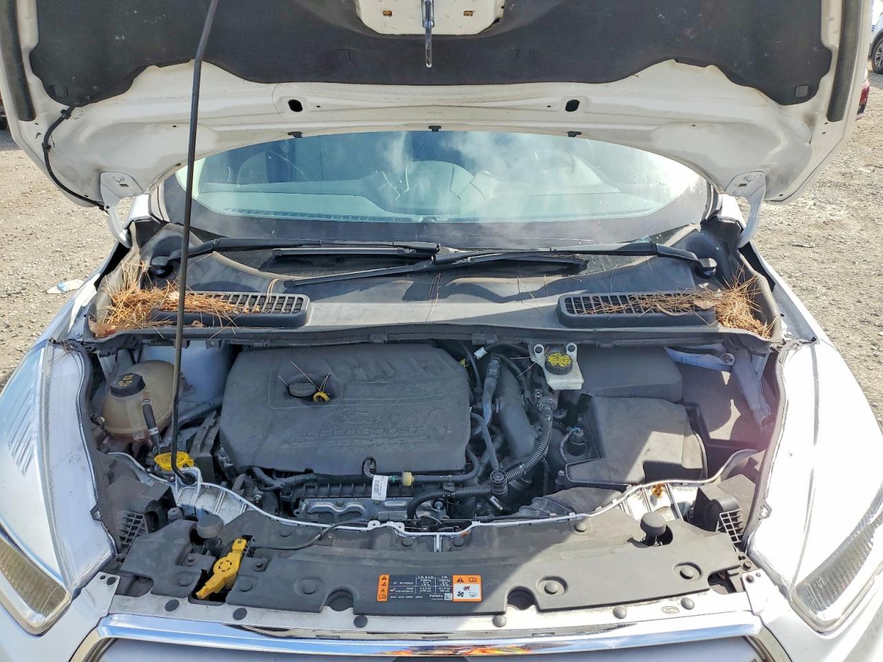 2018 FORD ESCAPE SE photo 21