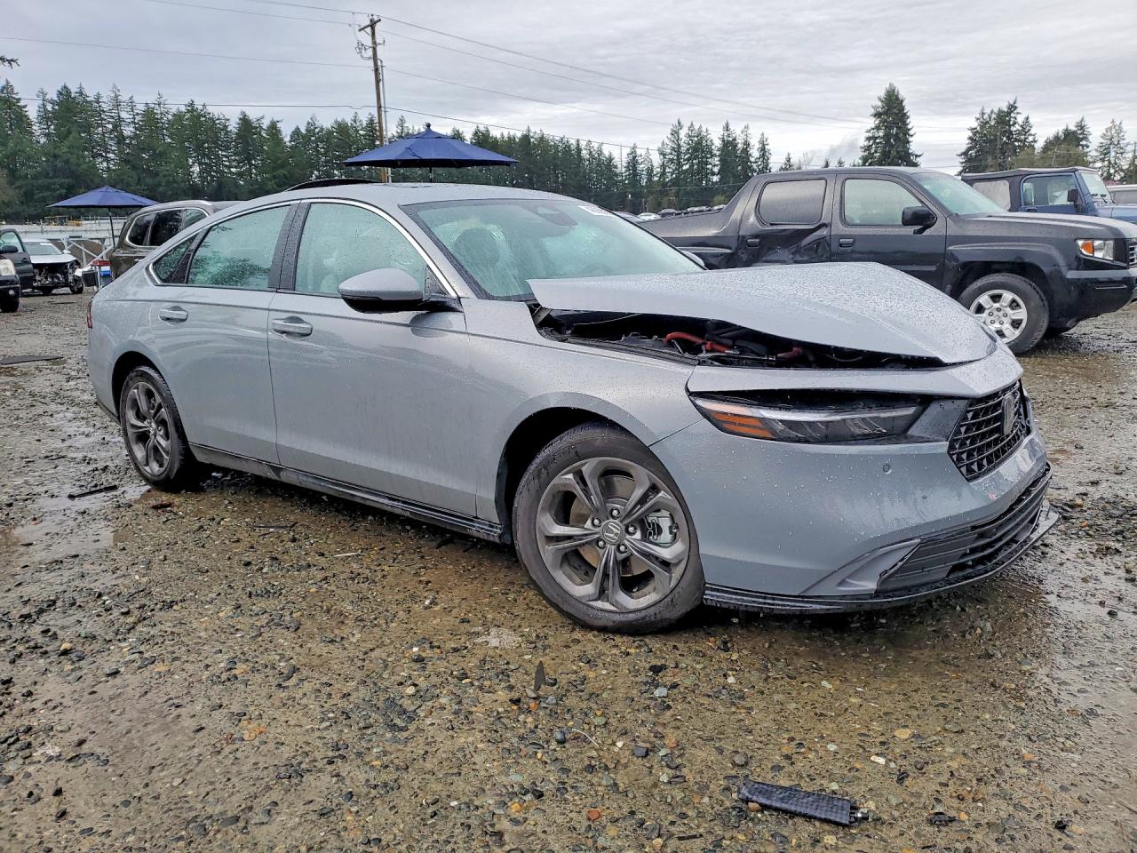 2025 HONDA ACCORD HYBRID EXL photo 7