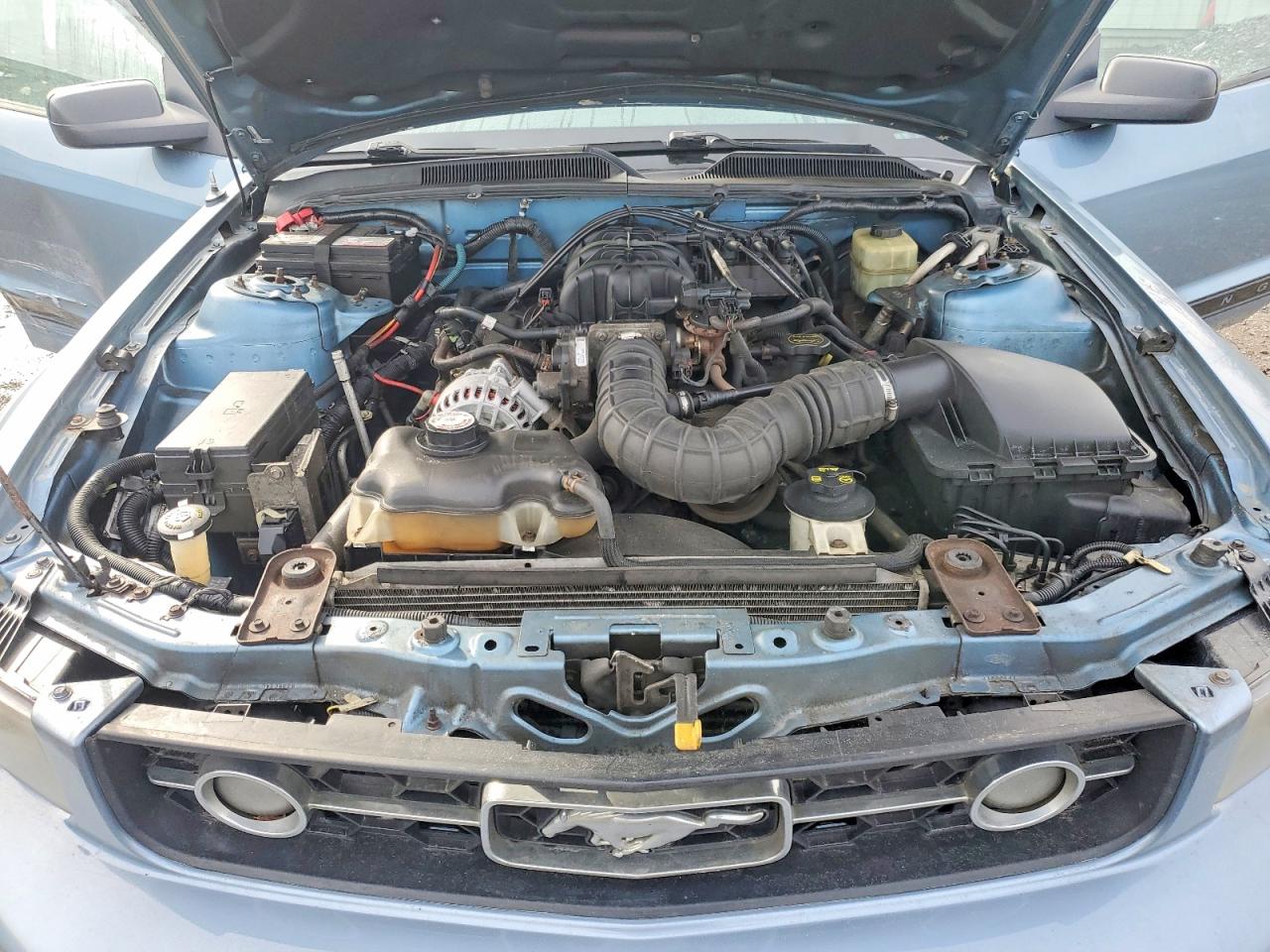 2006 FORD MUSTANG photo 11