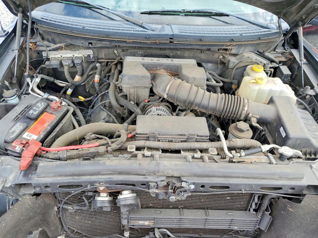 2014 FORD F150 photo 11