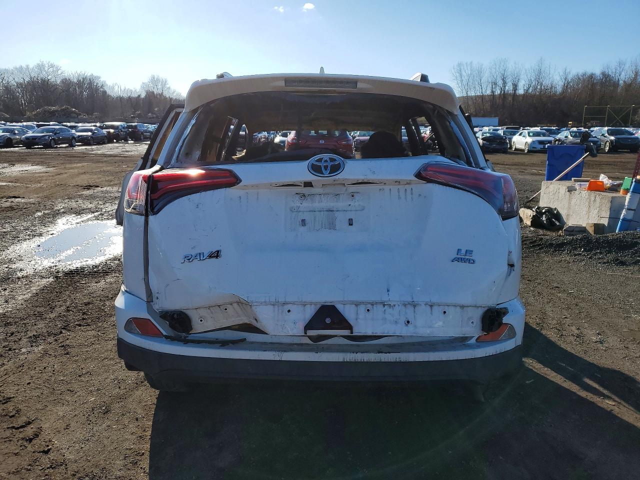 2017 TOYOTA RAV4 LE photo 11