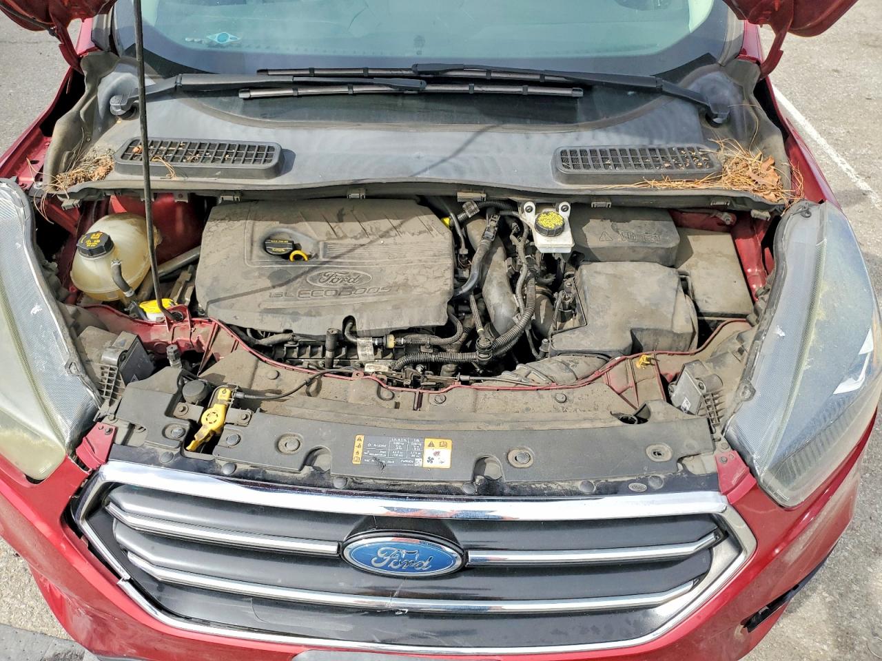 2017 FORD ESCAPE SE photo 21