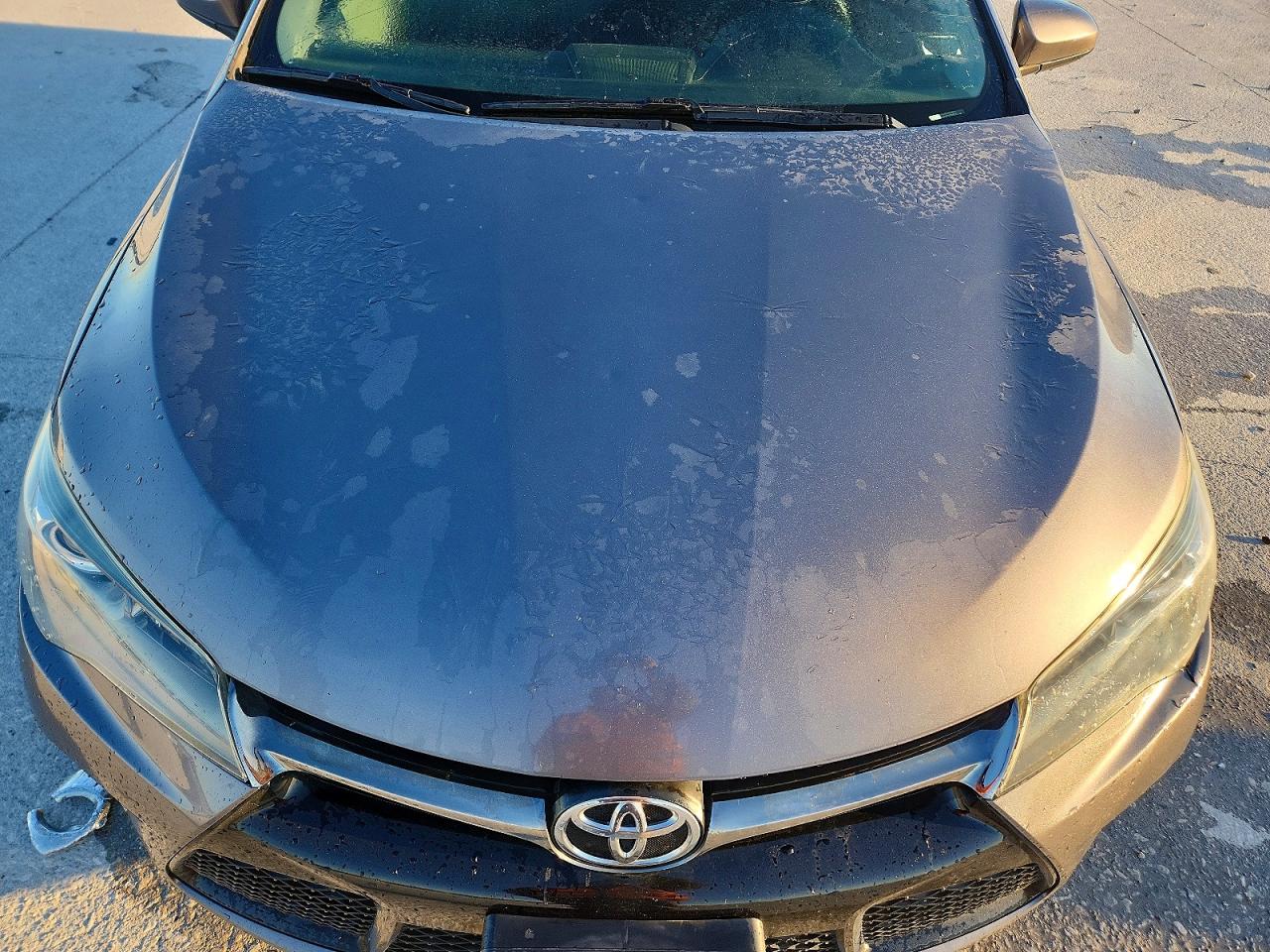 2015 TOYOTA CAMRY SE photo 11