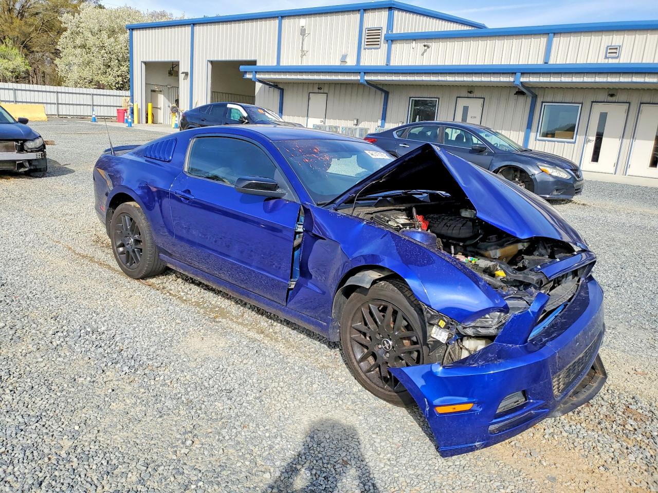 2014 FORD MUSTANG photo 7