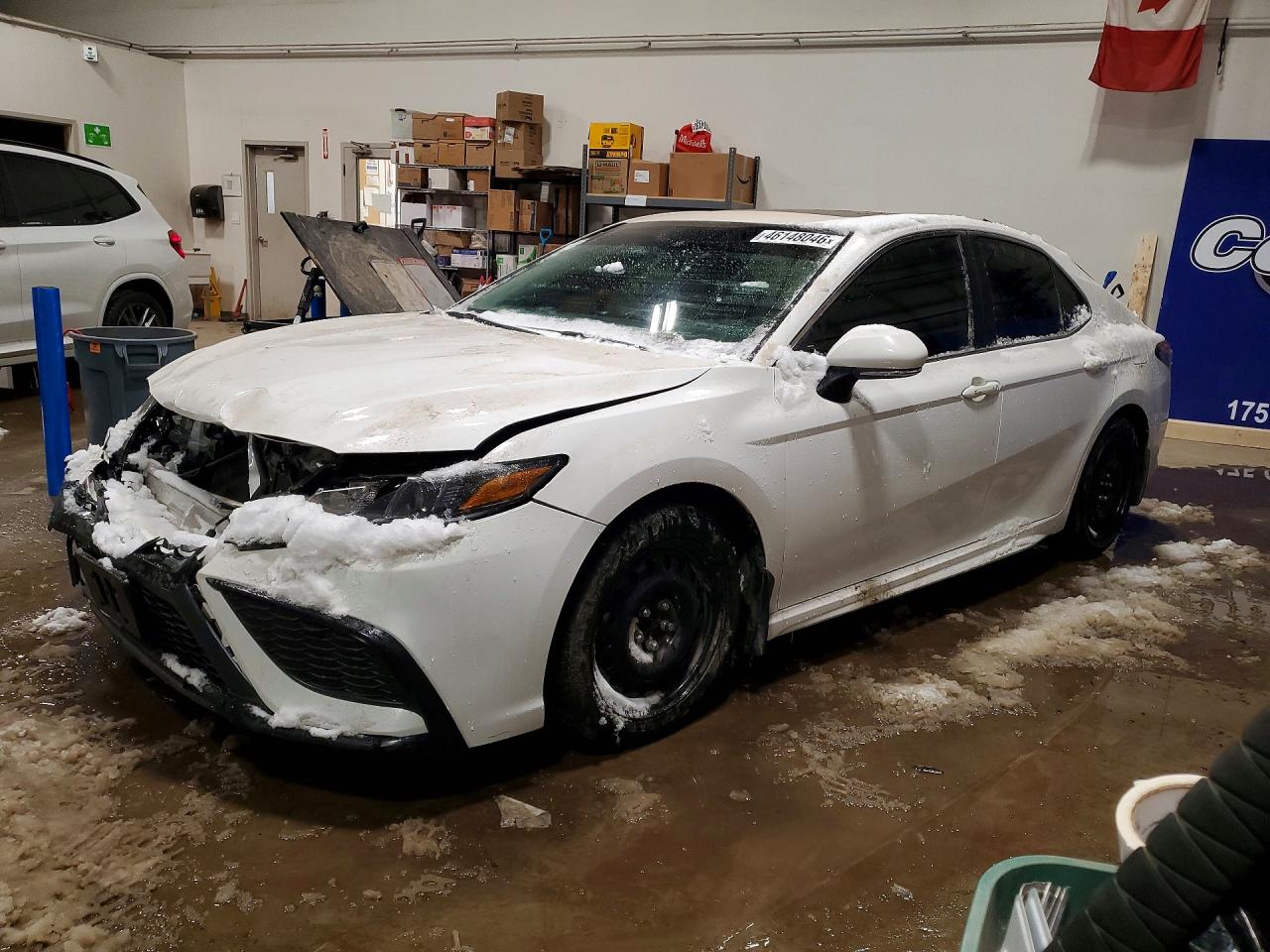 2023 TOYOTA CAMRY