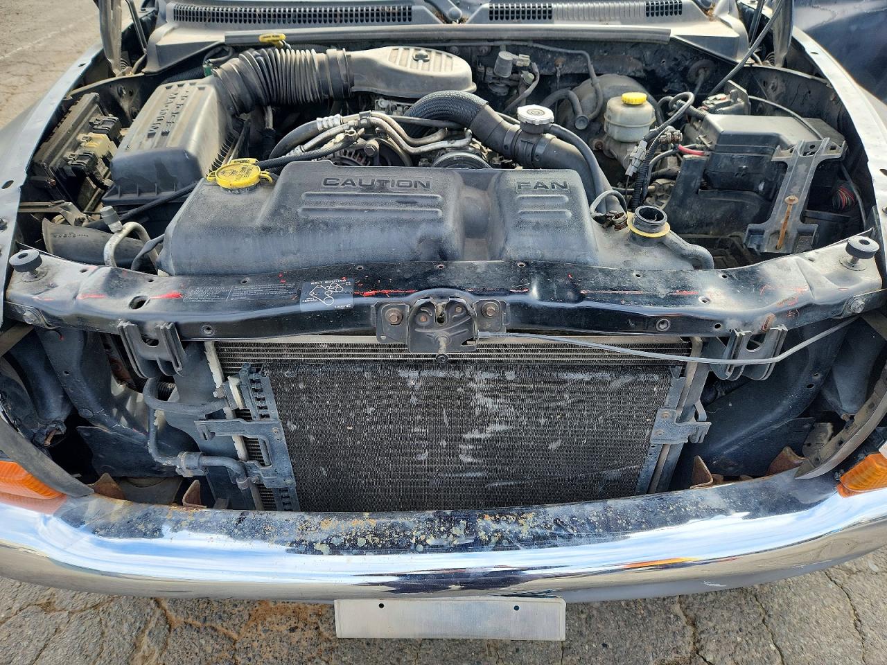 2000 DODGE DAKOTA photo 11