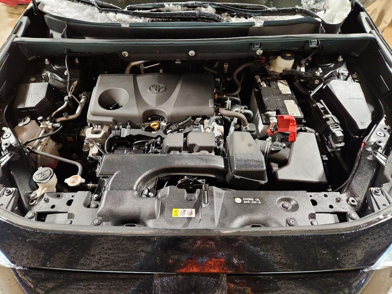 2025 TOYOTA RAV4 LE photo 34
