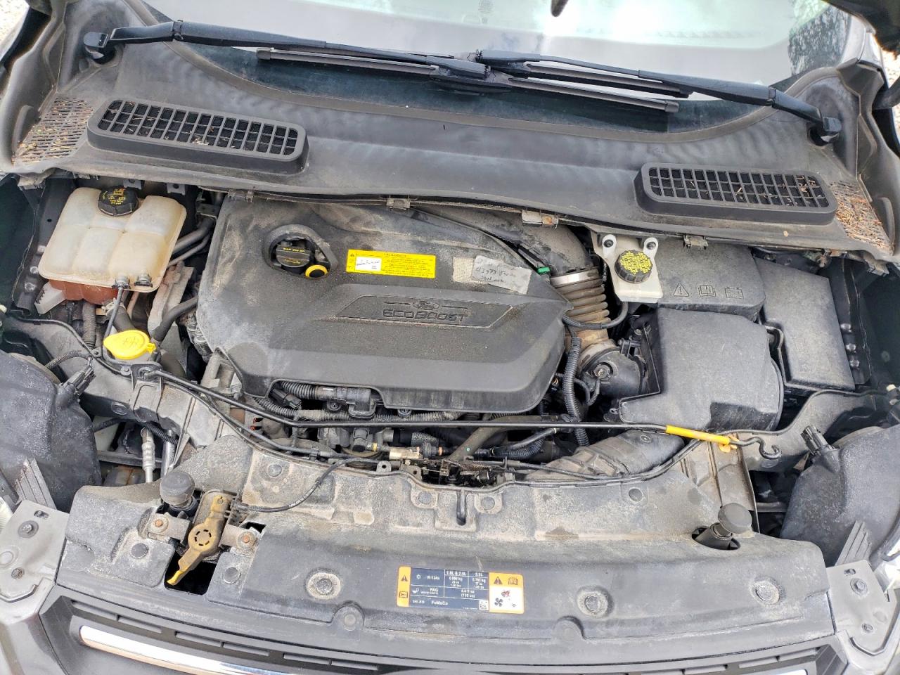 2016 FORD ESCAPE SE photo 34