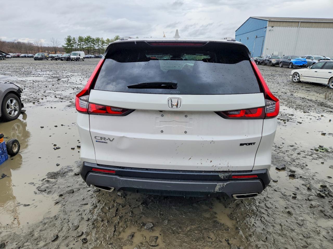 2025 HONDA CR-V SPORT photo 6