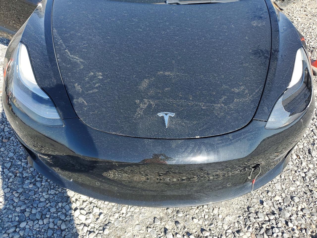 2019 TESLA MODEL 3 photo 11
