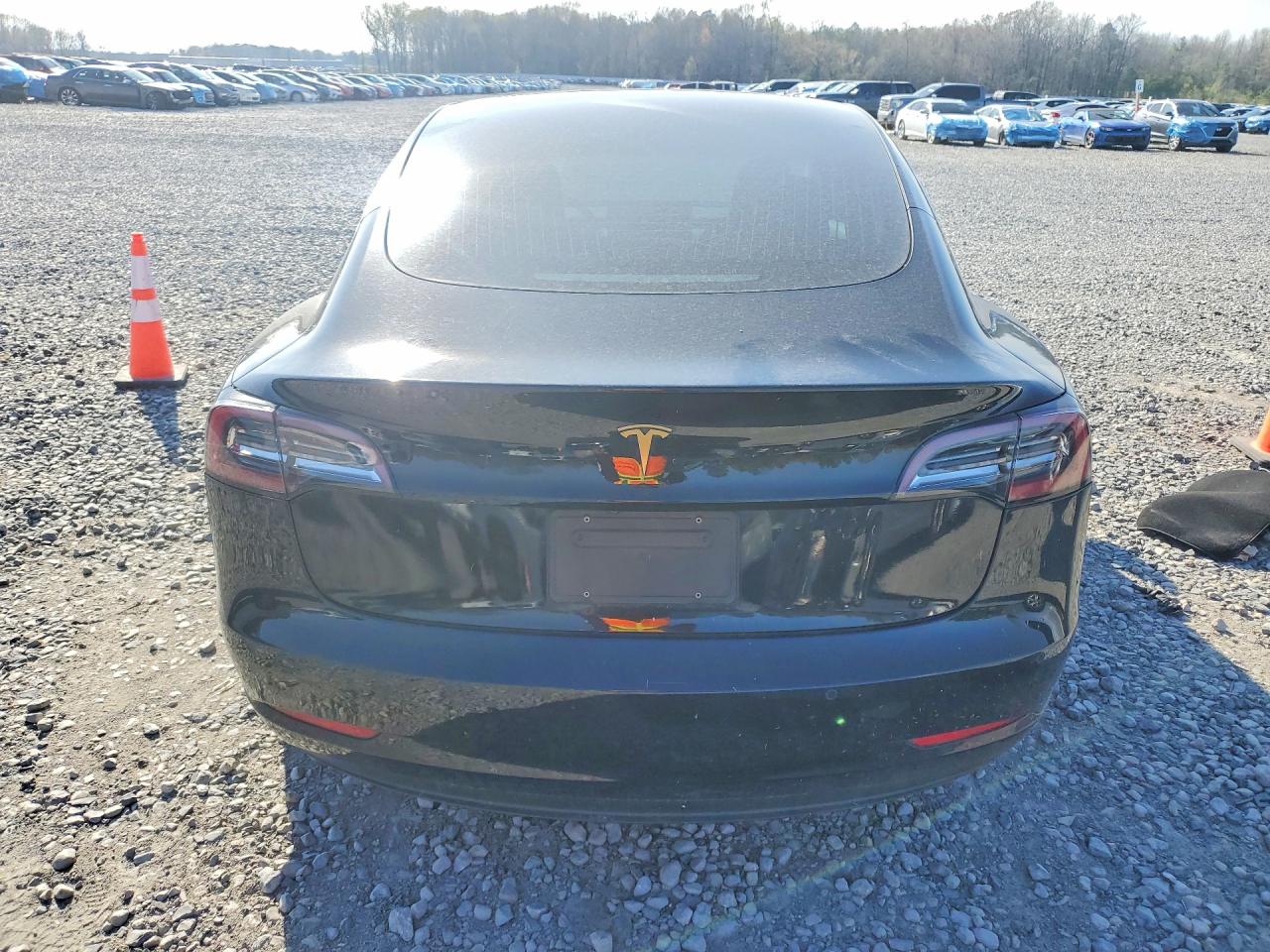 2019 TESLA MODEL 3 photo 6