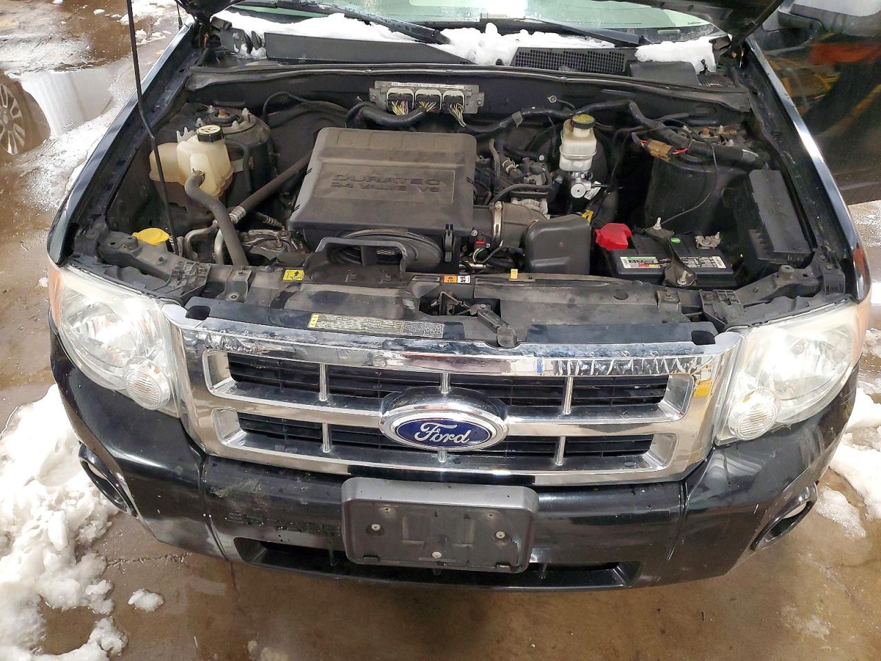 2012 FORD ESCAPE XLT photo 12