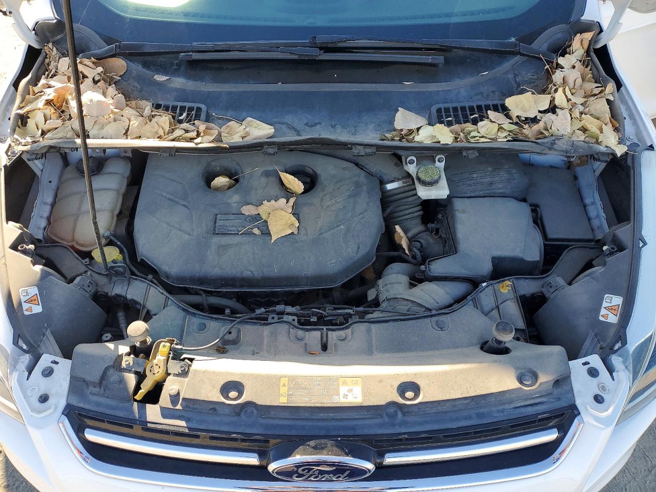 2014 FORD ESCAPE TITANIUM photo 23