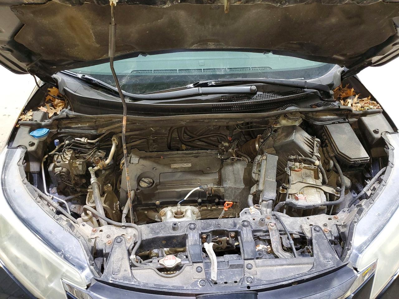 2016 HONDA CR-V LX photo 12