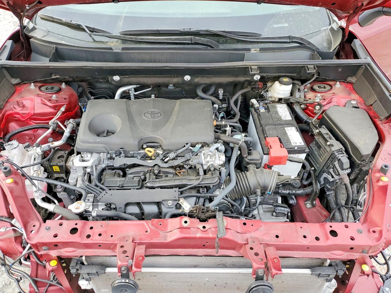 2024 TOYOTA RAV4 XLE photo 12