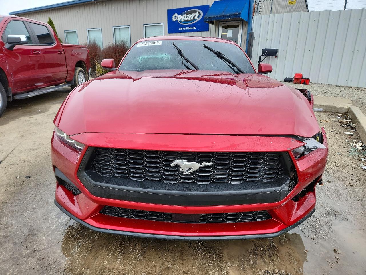 2024 FORD MUSTANG photo 9