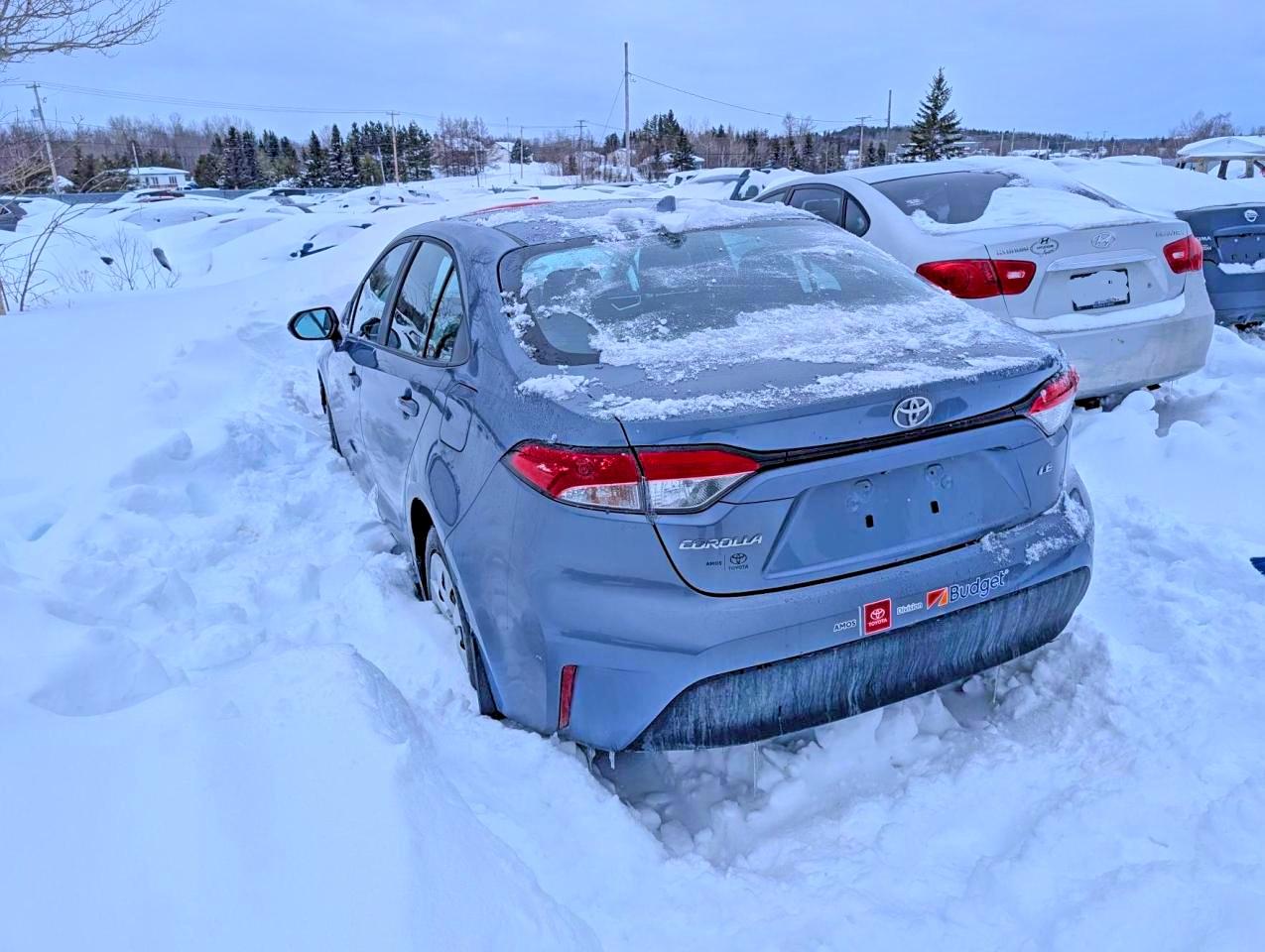 2025 TOYOTA COROLLA LE photo 4