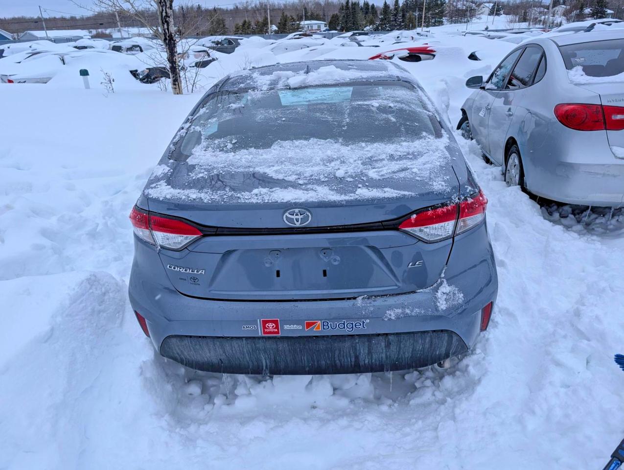 2025 TOYOTA COROLLA LE photo 16