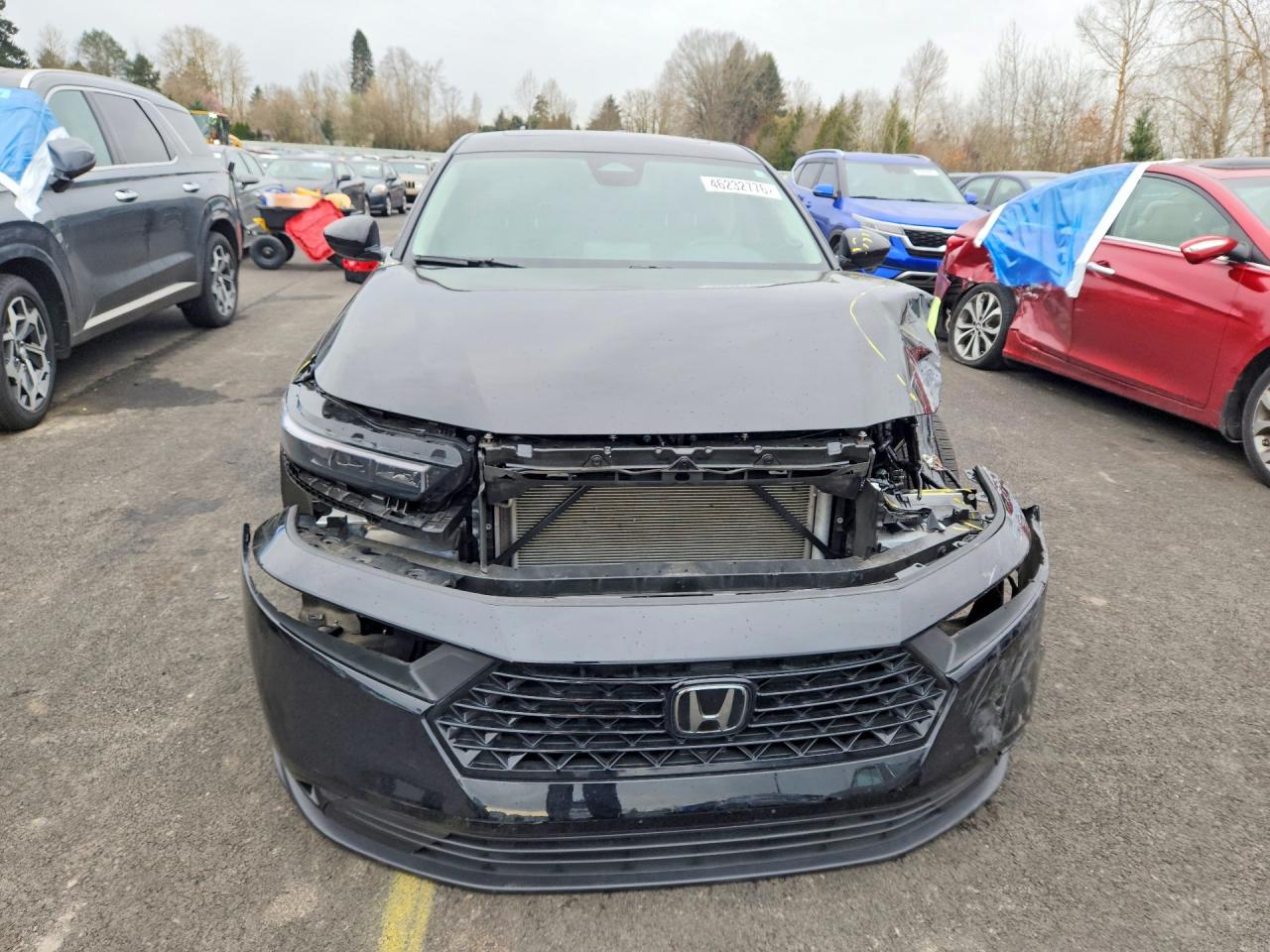 2025 HONDA ACCORD SE photo 5