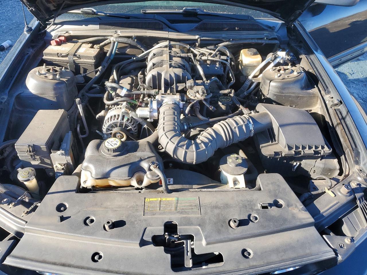 2008 FORD MUSTANG photo 11