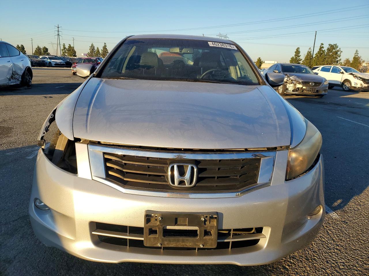 2009 HONDA ACCORD EXL photo 5