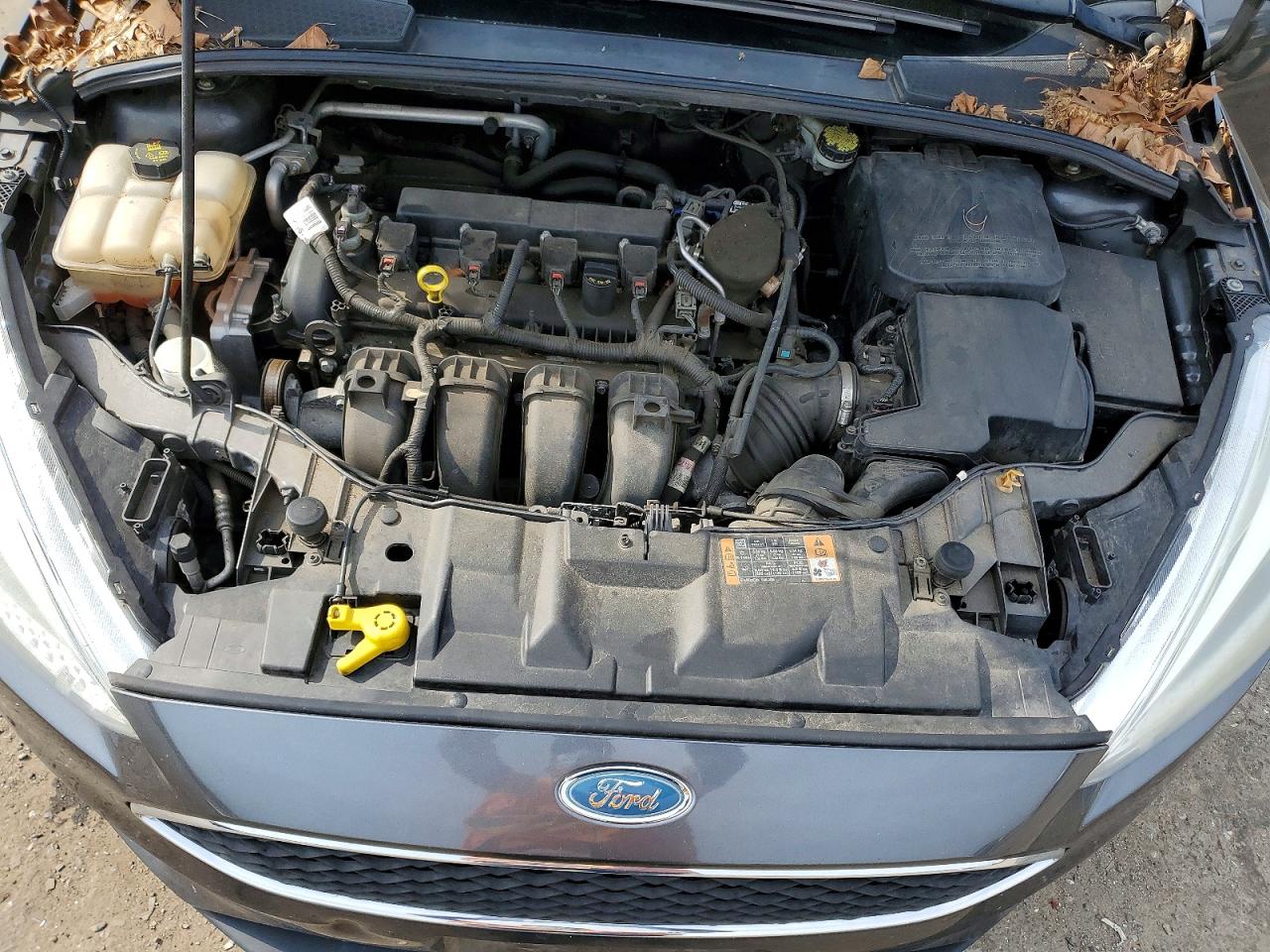 2015 FORD FOCUS SE photo 41